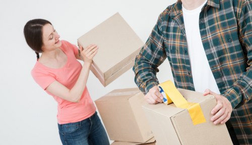 Packing boxes and protective materials for a move in Rotherhithe